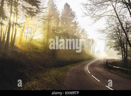 Road curve in the mountains with morning sunlight through the trees during a foggy day of winter, Vosges, France. Stock Photo