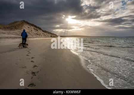 Sand dunes lit up at the beach at Killinallan on Loch Gruinart in dramatic winter low sunlight with walker person and dog, Isle of Islay, Scotland Stock Photo