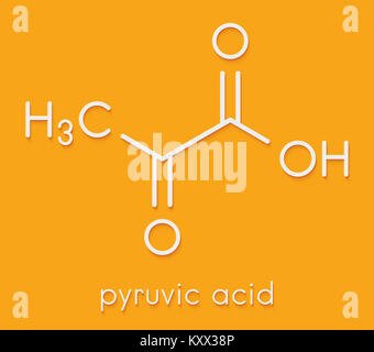 Pyruvic Acid (pyruvate) Molecule. Important Intermediate In A Number ...