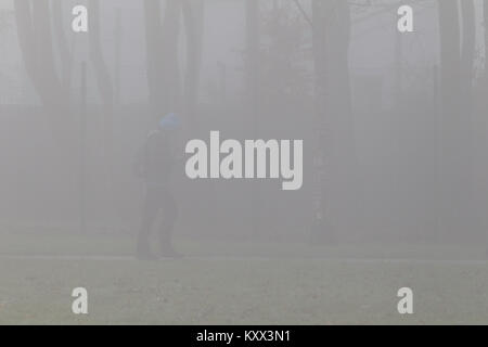 man walking through park looking at phone on a foggy day in the uk Stock Photo
