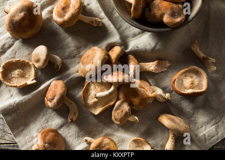 Healthy Organic Fresh Shiitake Mushrooms Ready to Cook Stock Photo