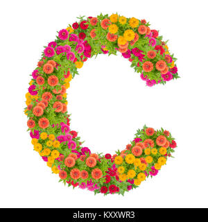 Letter C alphabet made from zinnia flower ABC concept type as logo. Typography design,with clipping path Stock Photo