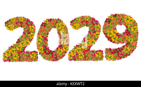 Numbers 2029 made from Zinnias flowers isolated on white background with clipping path. Happy new year concept Stock Photo