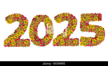 Numbers 2025 made from Zinnias flowers isolated on white background with clipping path. Happy new year concept Stock Photo