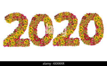 Numbers 2020 made from Zinnias flowers isolated on white background with clipping path. Happy new year concept Stock Photo