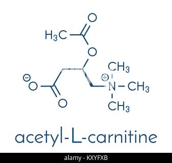 acetyl-l-carnitine linus polling Acetyl-L-carnitine in chronic pain: A narrative review