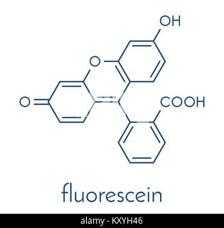 Fluorescein fluorescent molecule. Skeletal formula. Stock Vector