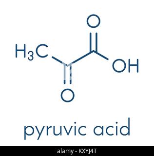 Pyruvic Acid (pyruvate) Molecule. Important Intermediate In A Number Of ...