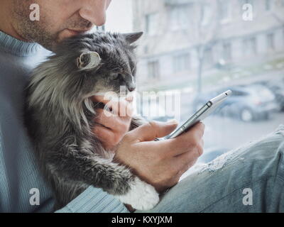 Young man sits on the windowsill, holds a beautiful, fluffy kitten on his lap and reads news on his mobile phone Stock Photo