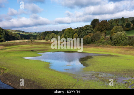 Small section of Lindley Wood Reservoir in beautiful Washburn Valley, North Yorkshire, England, UK - very low water level after dry summer drought. Stock Photo