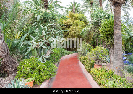 MARRAKECH, MOROCCO - FEBRUARY 22, 2016: The Majorelle Garden is a botanical garden and artist's landscape garden in Marrakech, Morocco. Stock Photo