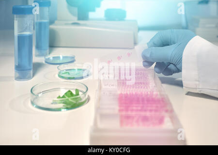 Scientific background with microscope room and microscopic slide in gloved hand. Shallow DOF,toned image, focus on the slide. Pencil writing here was  Stock Photo