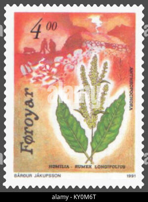 Faroe stamp 205 anthropochora - northern dock (Rumex longifolius) Stock Photo