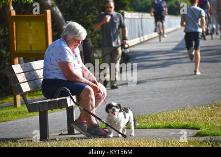 Senior woman sitting alone at the park with her dog at Boulevard Park in Fairhaven Bellingham Washington, USA.  The trestle which goes over the Bellin Stock Photo