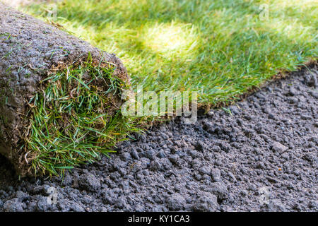 fresh roll of sod grass laid on dirt by a landscape gardener planning a new garden up close and in detail Stock Photo