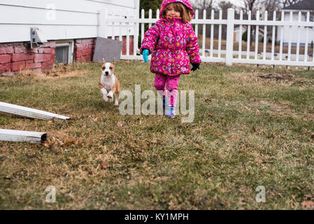 A small beagle mix puppy walks with a toddler girl in a yard. Stock Photo