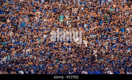 Beijing, Brazil. 1st July, 2017. Supporters of Caprichoso team react during the Parintins Folklore Festival in Parintins, the Amazonas state, Brazil, on July 1, 2017. Credit: Li Ming/Xinhua/Alamy Live News Stock Photo
