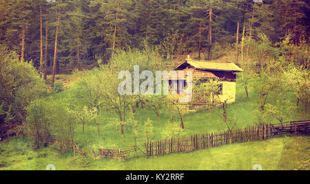 vintage barn in spring meadows, textured old image Stock Photo