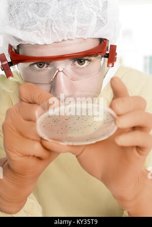 Microbiologist in protective gear picks up bacterial colonies Stock Photo