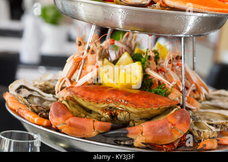 Platter of seafood, restaurant 'Le Homard Gourmand' in Fort Mahon, cook, chef Jackie Masse. Stock Photo