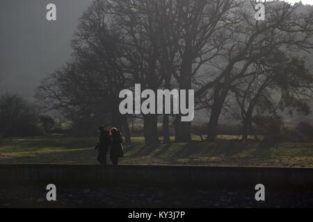 Middle Aged Couple on a Country Walk along the Exe Estuary Trail, by Powderham, from Turf Hotel. Hazy Winter Tree Copse. South Devon, UK. January 2018 Stock Photo
