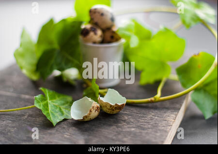 Whole and hatched spotted quail eggs in a decorative mini bucket with green ivy shoots on back background Stock Photo