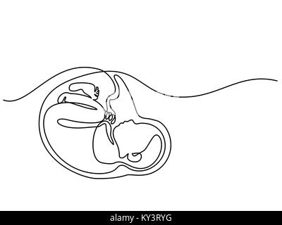 Baby in womb on the white background Stock Vector