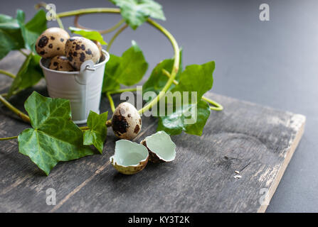 Whole and hatched spotted quail eggs in a decorative mini bucket with green ivy shoots on back background Stock Photo
