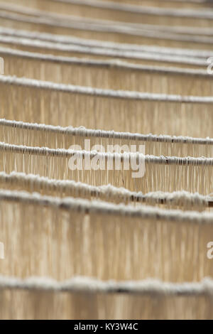 Homemade rice pasta drying on sun in Myanmar. Stock Photo