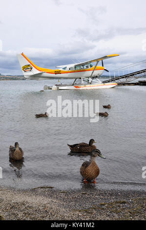 Taupos Floatplane Cessna 206 Stationair floatplane ZK-DXC on Lake Taupo. Fitted with floats to provide tourist flights from the lake. New Zealand Stock Photo