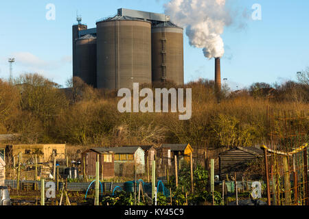 Smoke bellowing out of a chimney at British Sugar factory with allotment in the foreground, at Bury St Edmunds, Suffolk, East Anglia, England, UK. Stock Photo