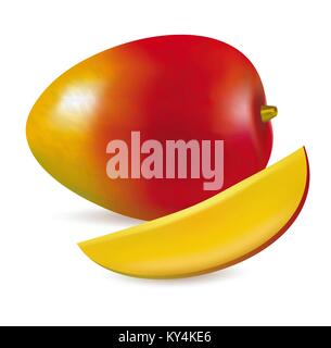 Vector illustration of Ripe fresh mango with slice Stock Vector