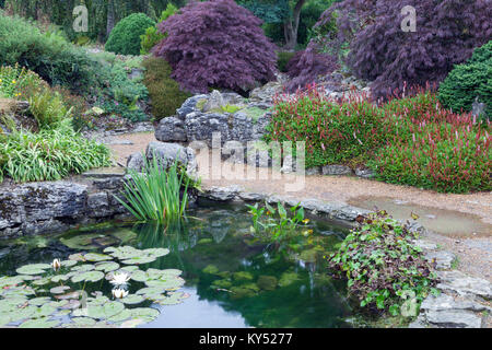 Small water pond with flowers, shrubs and trees in rockery garden, English countryside, summertime . Stock Photo