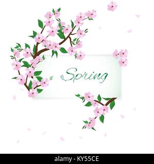 branches of spring flowering trees Stock Vector