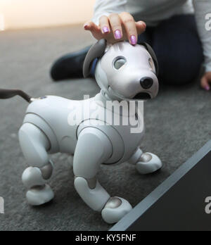 Las Vegas, USA. 12th Jan, 2018. Sony's Aibo robot is shown at Consumer Electronics Show (CES) in Las Vegas, the United States, Jan. 12, 2018. Electronics Show (CES) closed on Jan. 12. Credit: Li Ying/Xinhua/Alamy Live News Stock Photo