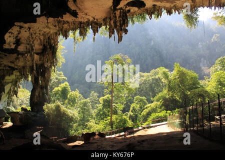 Entrance of big cave in Niah national park, Borneo, Malaysia Stock Photo