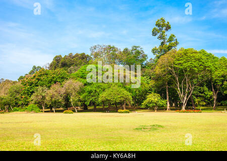 KANDY, SRI LANKA - FEBRUARY 21, 2017: Peradeniya Royal Botanic Gardens located near Kandy city, Sri Lanka. Peradeniya Royal Botanic Gardens are the la Stock Photo