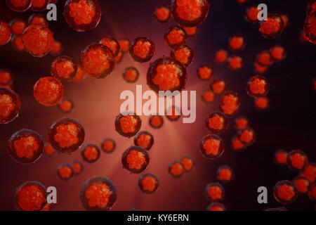 A morula is an early stage embryo consisting of cells , Stem cell ...