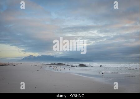 View of Table Mountain National Park in Cape Town from Blouberg Beach at sunset Stock Photo