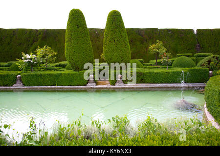 Pool, hedges and topiary in the garden of Villa Gamberaia, Settignano, Florence, Italy Stock Photo