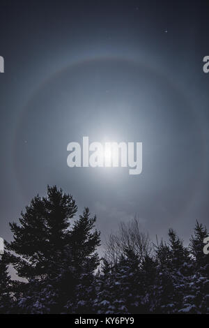 Lunar Halo around the Full Moon in Forest during the Winter Stock Photo