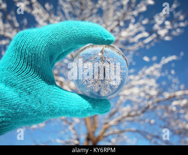 crystal photography ball in front of a tree on a sunny day during the cold winter season with snow on the ground Stock Photo