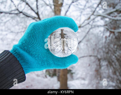 crystal photography ball in front of a tree on a sunny day during the cold winter season with snow on the ground Stock Photo