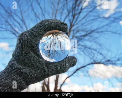 crystal photography ball in front of a tree on a sunny day during the cold winter season Stock Photo