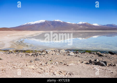 Clear altiplano laguna in sud Lipez reserva Eduardo Avaroa, Bolivia Stock Photo