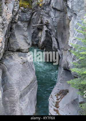 Maligne Creek Canyon near the first bridge, Jasper National Park, Alberta, Canada. Stock Photo