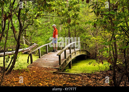 NC01290-00...NORTH CAROLINA - Hiker on an arched bridge over a marsh on the Center Traill through a  maritime forest at Nags Head Woods Preserve on th Stock Photo