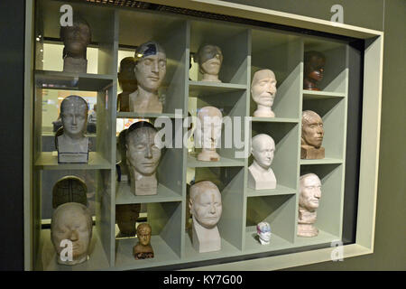 Phrenology heads in a display at The Science Museum, London, UK Stock Photo