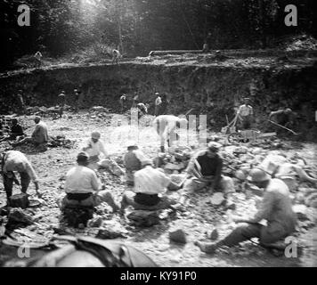 This historic photograph shows German prisoners captured by New Zealand ...