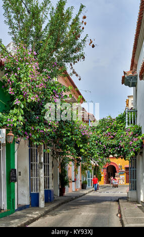 typical colorful facades with balconys of houses in Cartagena de Indias, Colombia, South America Stock Photo